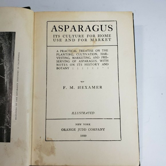 Antique 1920 Agriculture Book Asparagus Its Culture for Home Use and for Market - Picture 5 of 12